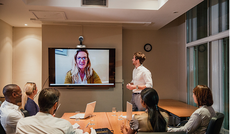 the answer codec is used for skype video conferencing